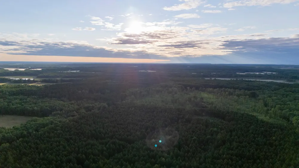 NESW Forest Road 3845 NE Pennington, MN 56663