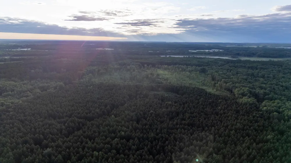 NESW Forest Road 3845 NE Pennington, MN 56663