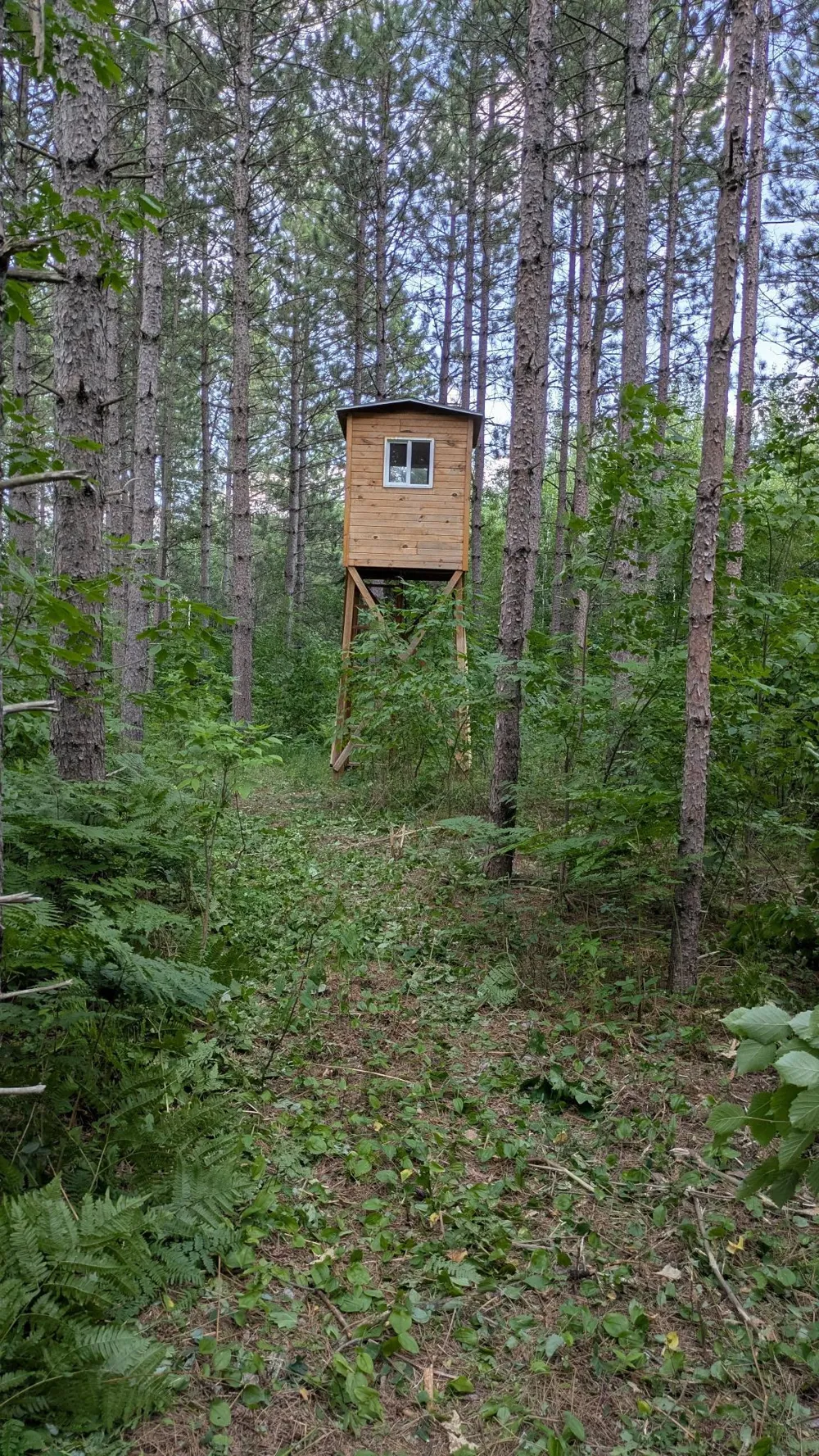 NESW Forest Road 3845 NE Pennington, MN 56663