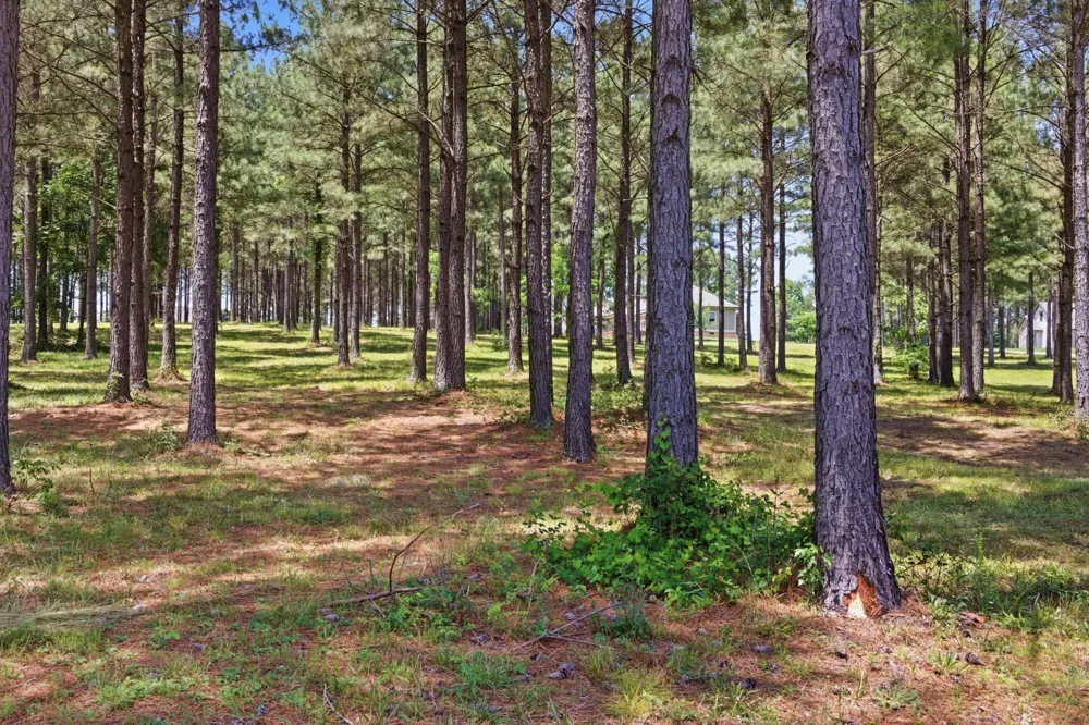 0 Cumberland Circle Jasper, TN 37347