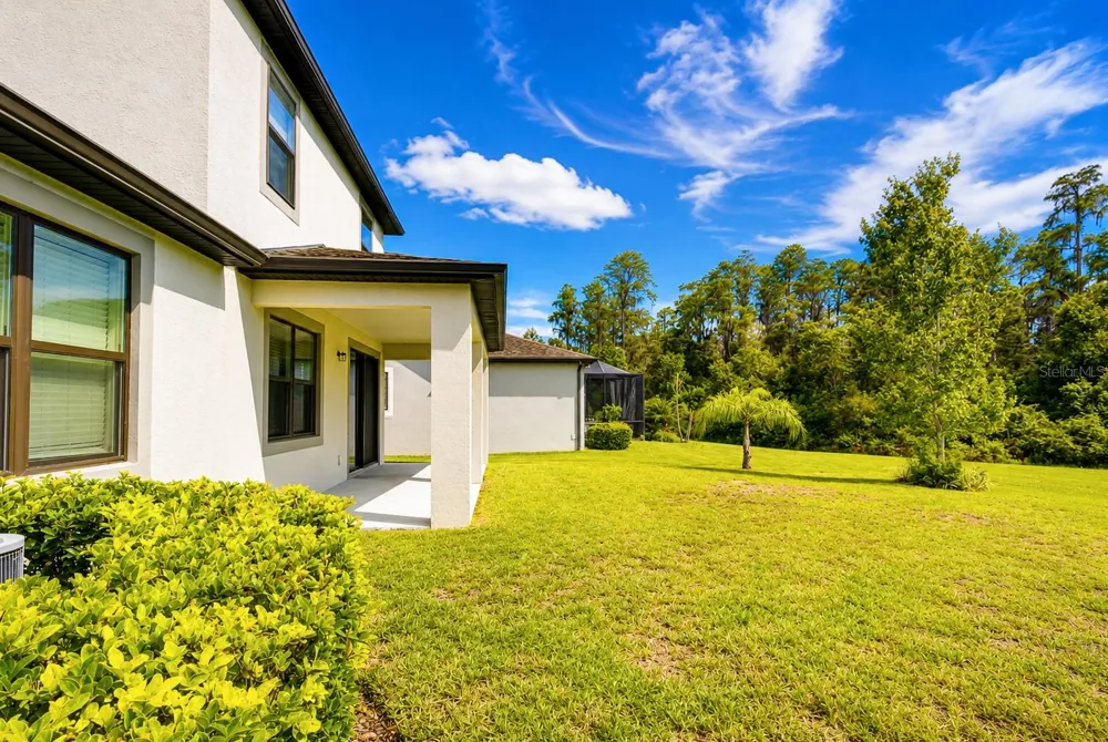 1621 LEAF FLOWER LANE Lutz, FL 33558