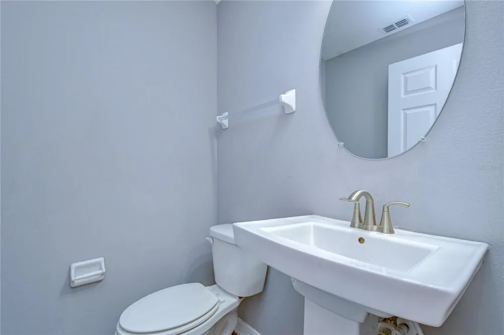 1621 LEAF FLOWER LANE Lutz, FL 33558