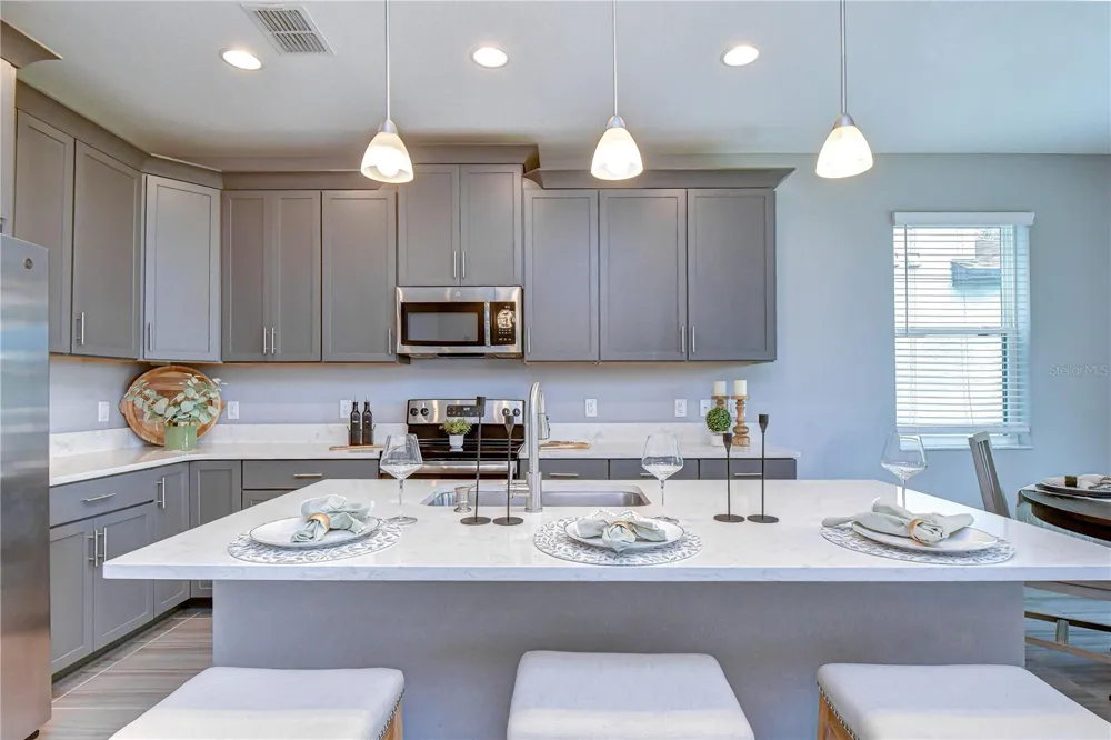 1621 LEAF FLOWER LANE Lutz, FL 33558