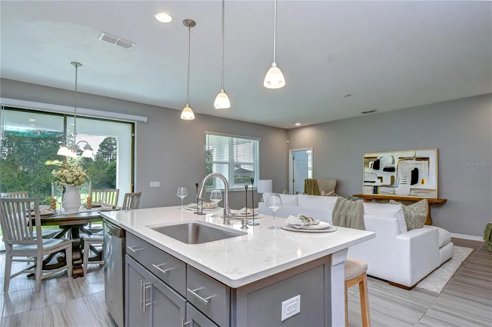 1621 LEAF FLOWER LANE Lutz, FL 33558