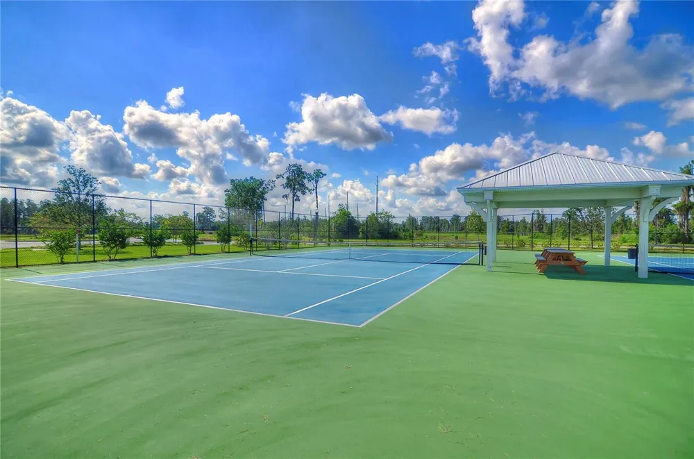 1621 LEAF FLOWER LANE Lutz, FL 33558