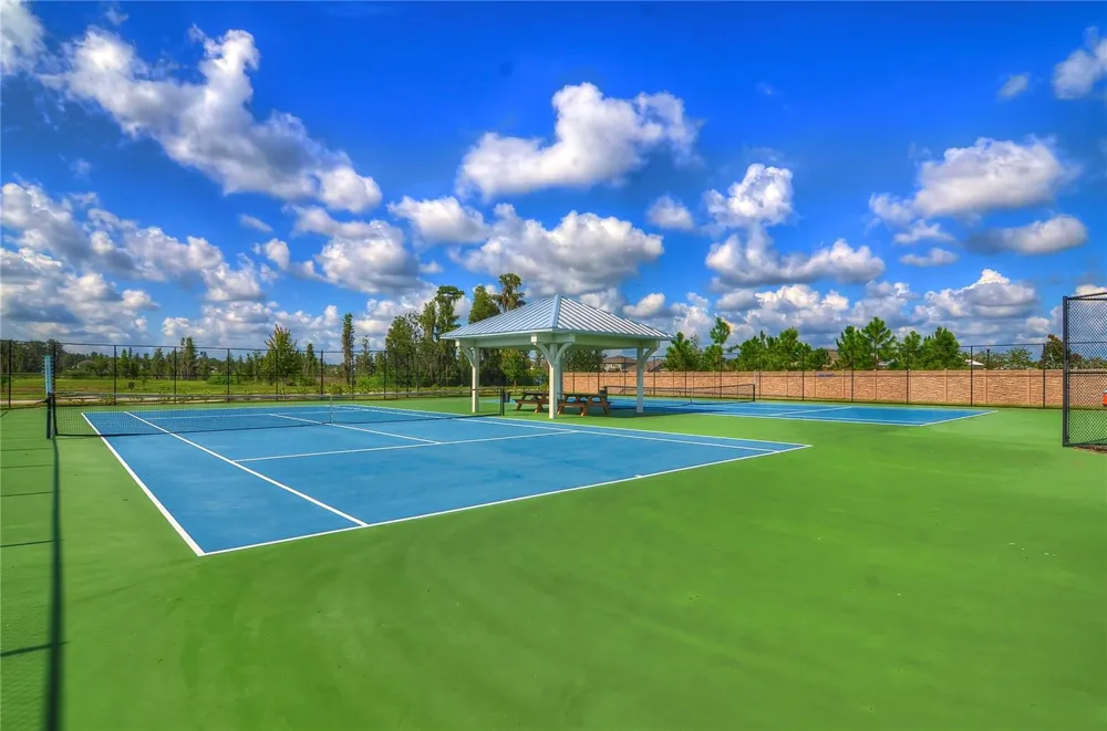 1621 LEAF FLOWER LANE Lutz, FL 33558