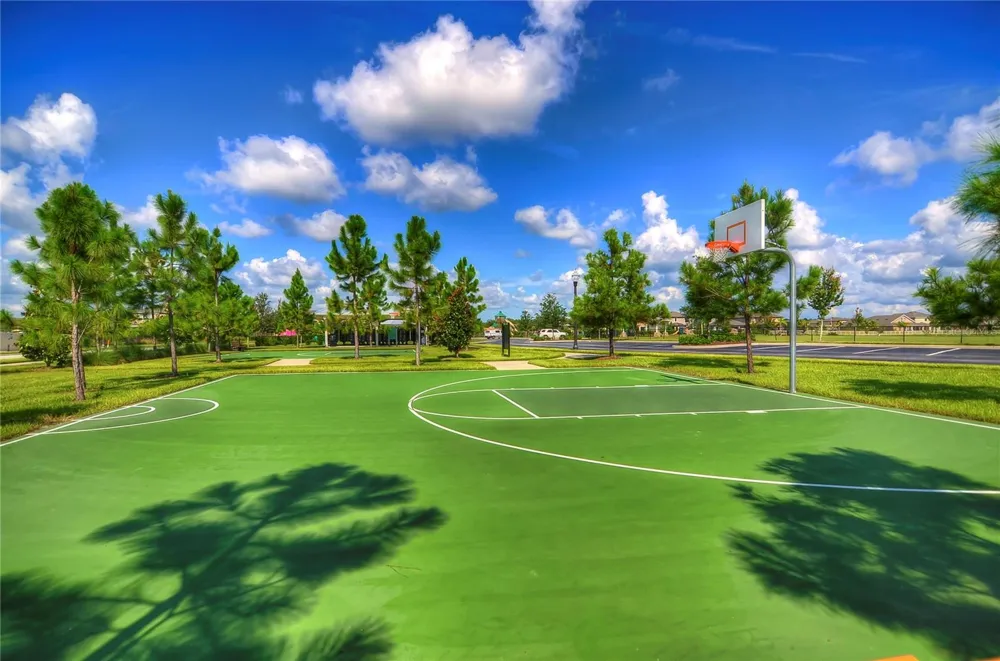 1621 LEAF FLOWER LANE Lutz, FL 33558