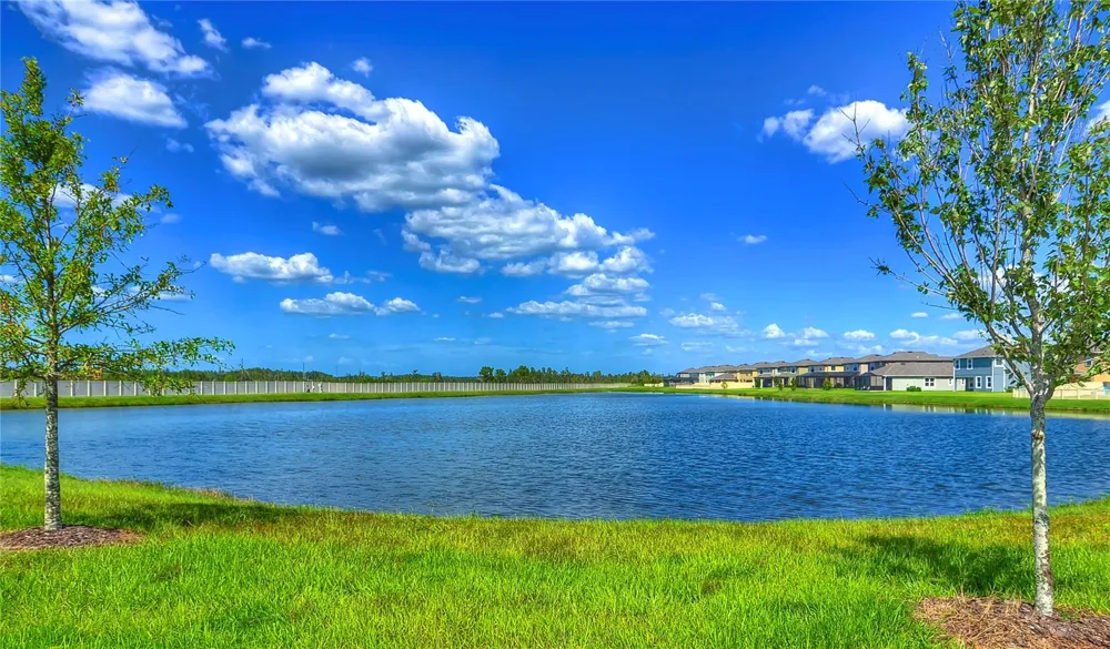 1621 LEAF FLOWER LANE Lutz, FL 33558