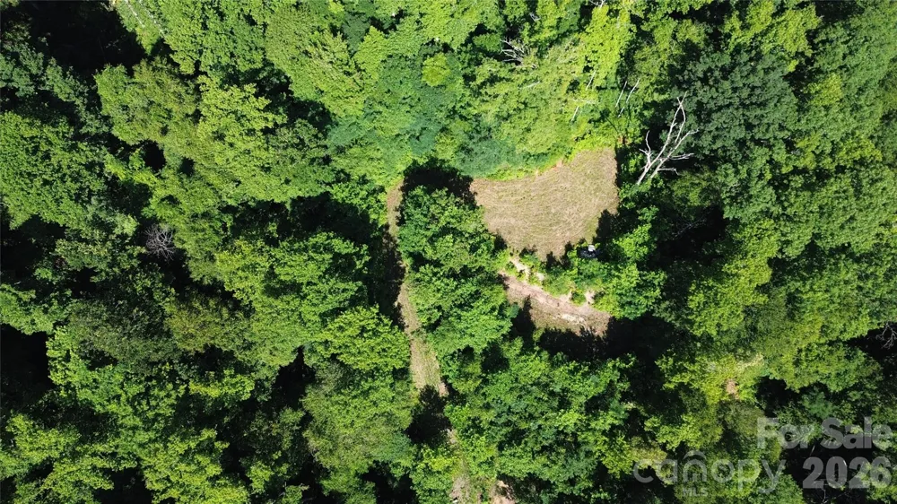 99999 Morgan Hill Road Black Mountain, NC 28711