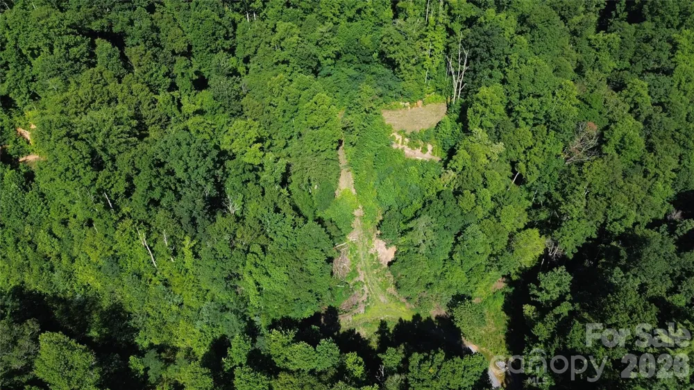 99999 Morgan Hill Road Black Mountain, NC 28711