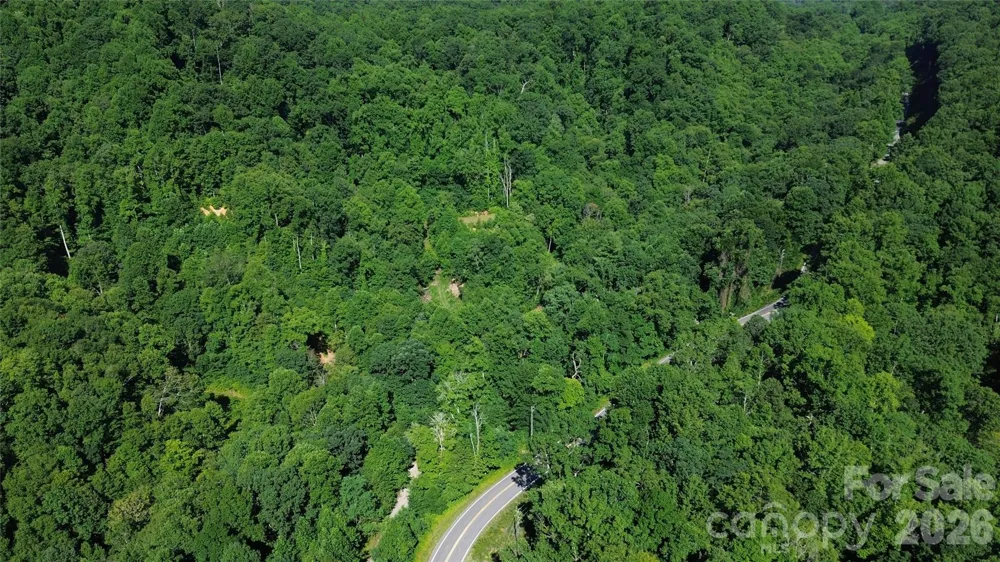 99999 Morgan Hill Road Black Mountain, NC 28711