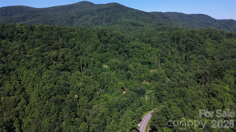 99999 Morgan Hill Road Black Mountain, NC 28711