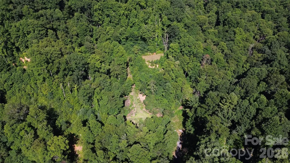 99999 Morgan Hill Road Black Mountain, NC 28711