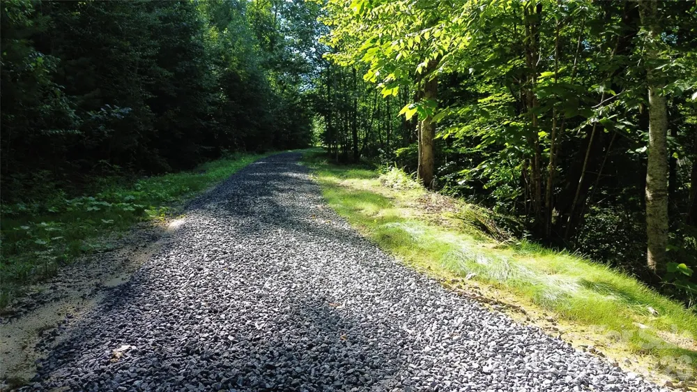 99999 Morgan Hill Road Black Mountain, NC 28711
