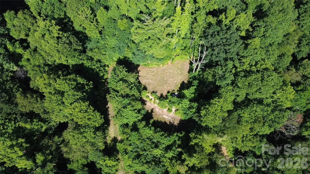 99999 Morgan Hill Road Black Mountain, NC 28711