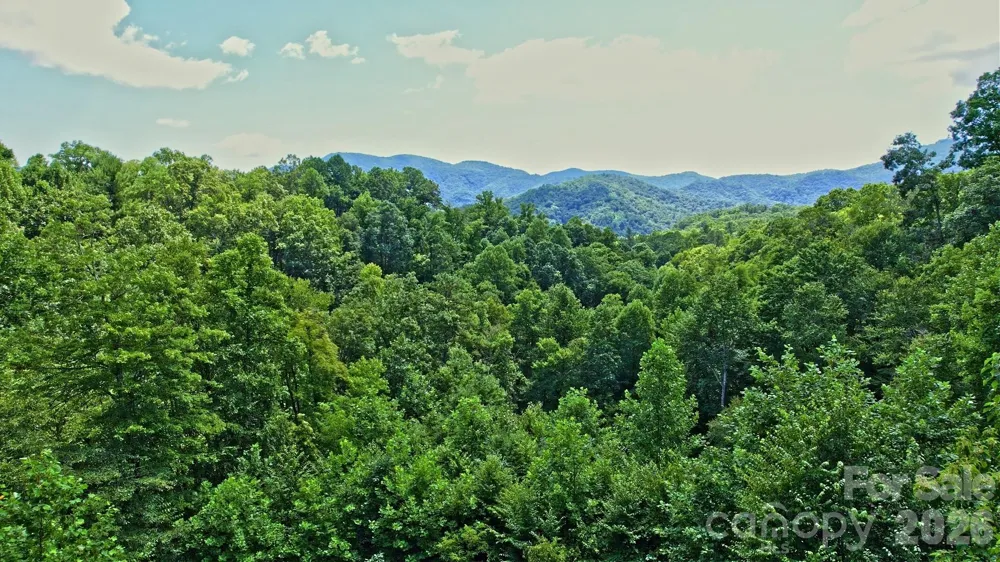 99999 Morgan Hill Road Black Mountain, NC 28711