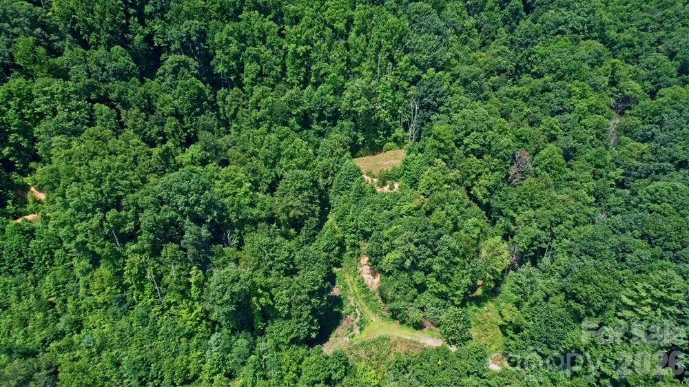99999 Morgan Hill Road Black Mountain, NC 28711