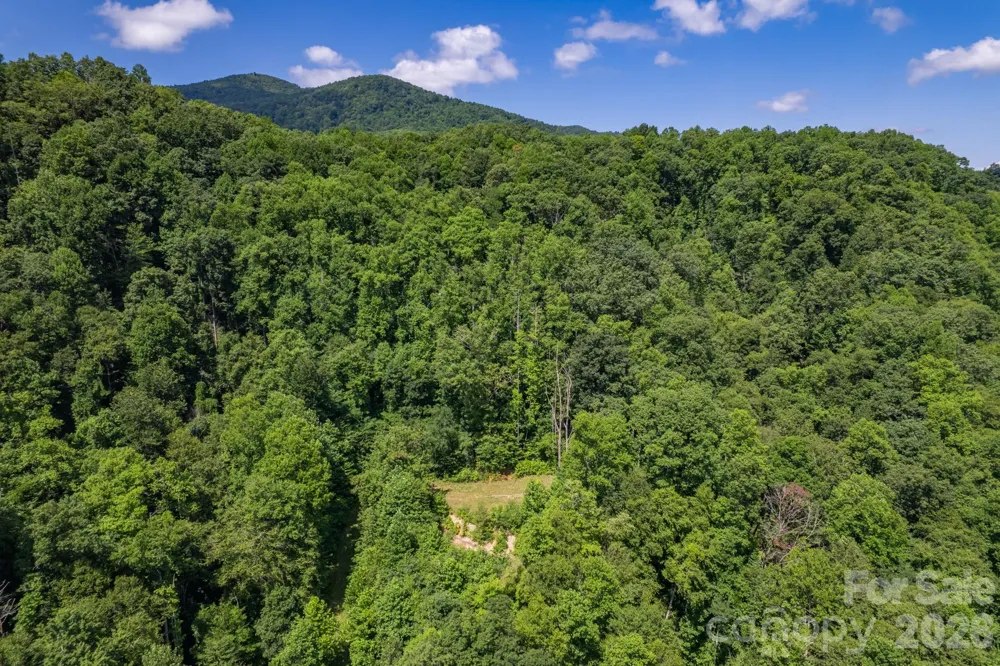 99999 Morgan Hill Road Black Mountain, NC 28711