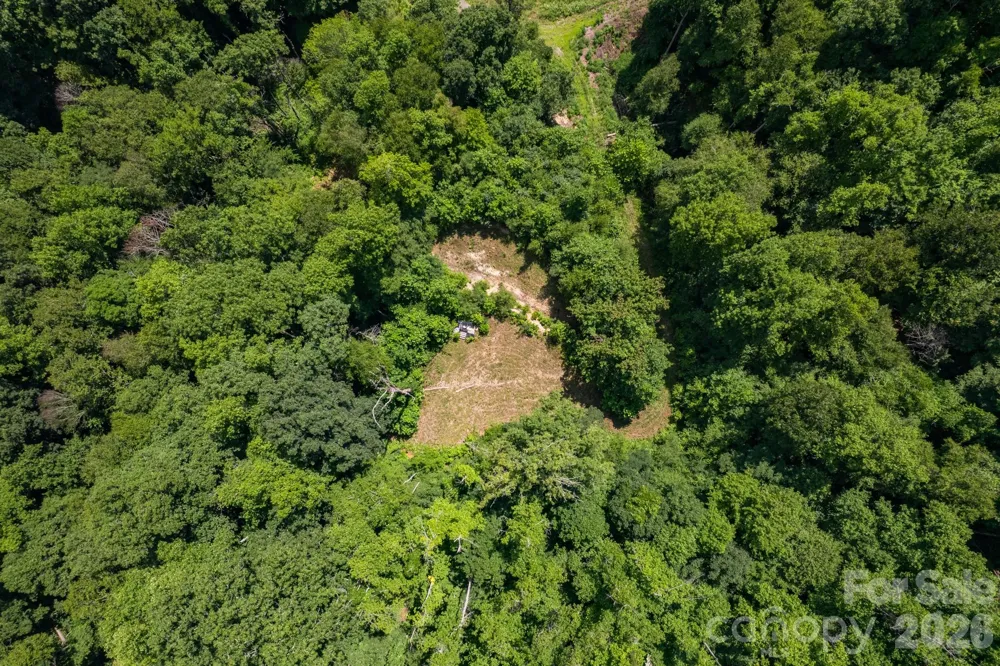 99999 Morgan Hill Road Black Mountain, NC 28711