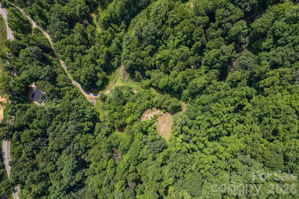 99999 Morgan Hill Road Black Mountain, NC 28711