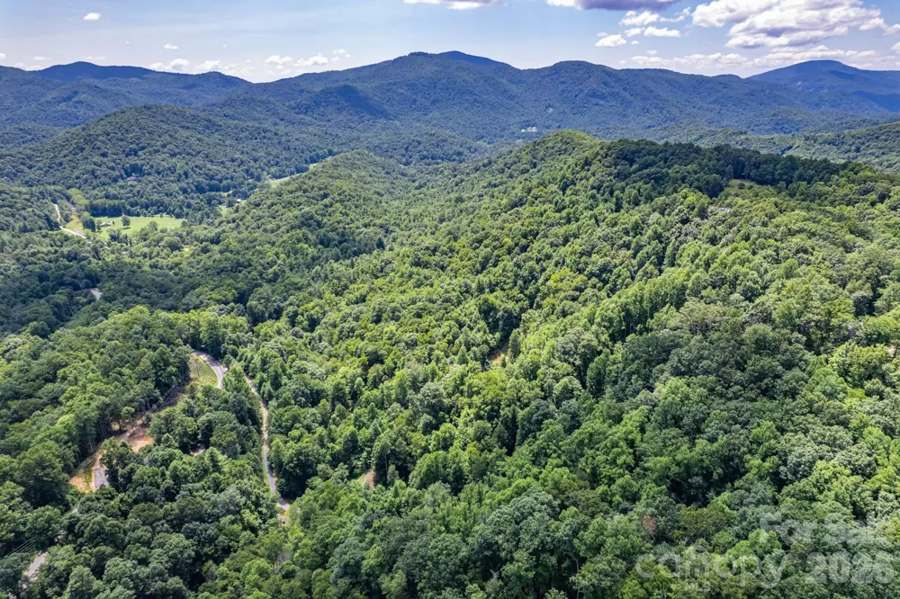 99999 Morgan Hill Road Black Mountain, NC 28711
