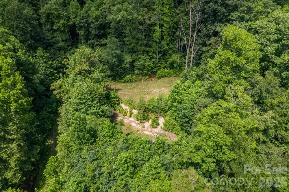 99999 Morgan Hill Road Black Mountain, NC 28711