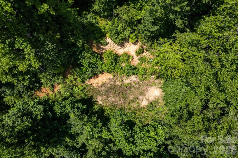 99999 Morgan Hill Road Black Mountain, NC 28711