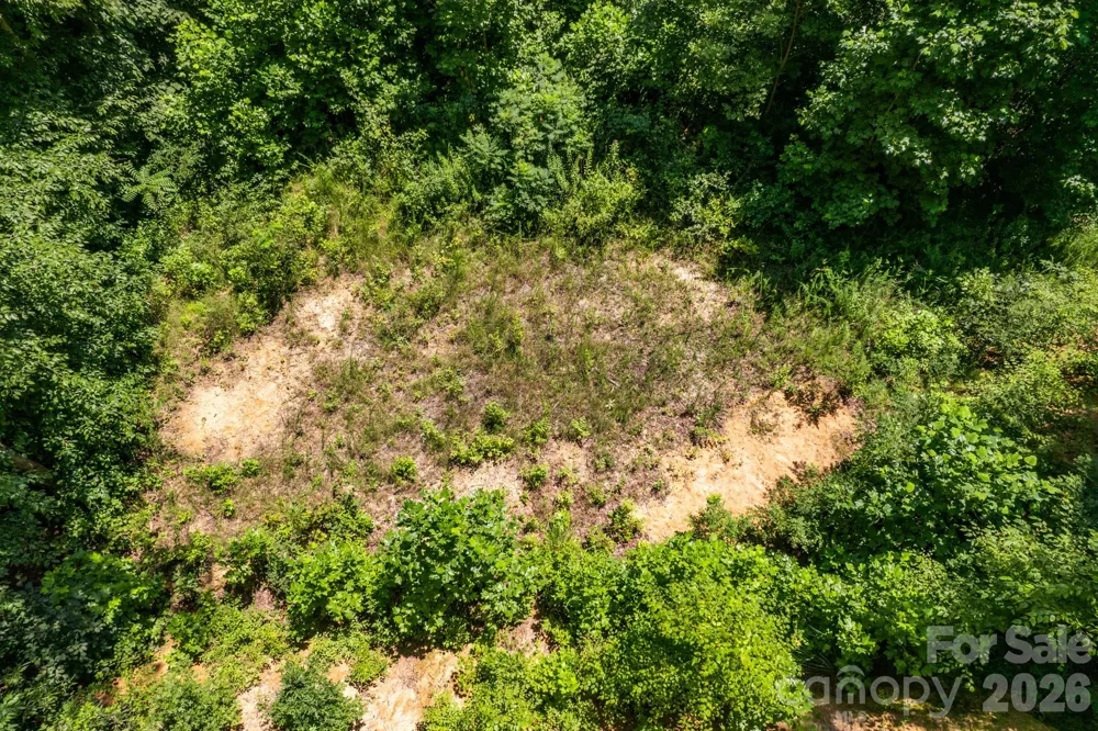 99999 Morgan Hill Road Black Mountain, NC 28711