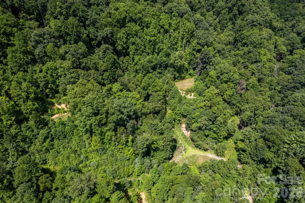 99999 Morgan Hill Road Black Mountain, NC 28711