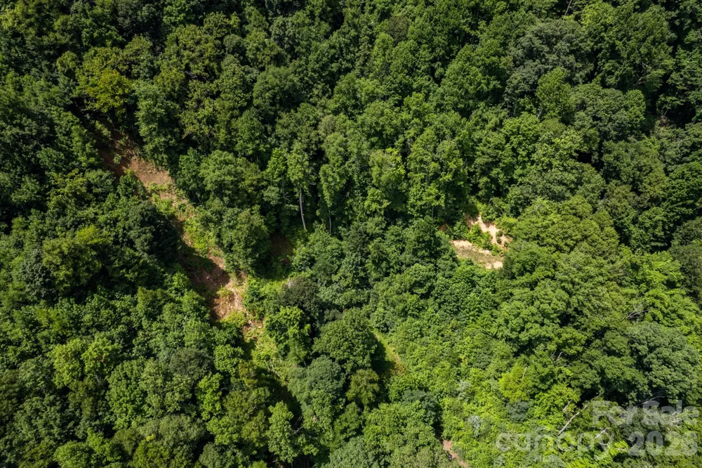 99999 Morgan Hill Road Black Mountain, NC 28711