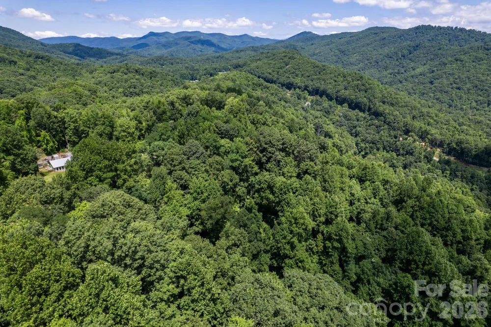 99999 Morgan Hill Road Black Mountain, NC 28711