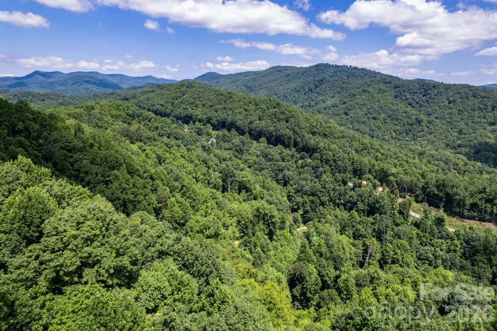 99999 Morgan Hill Road Black Mountain, NC 28711