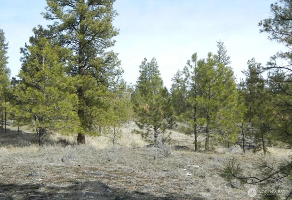 280 Reevas Basin Road Tonasket, WA 98855