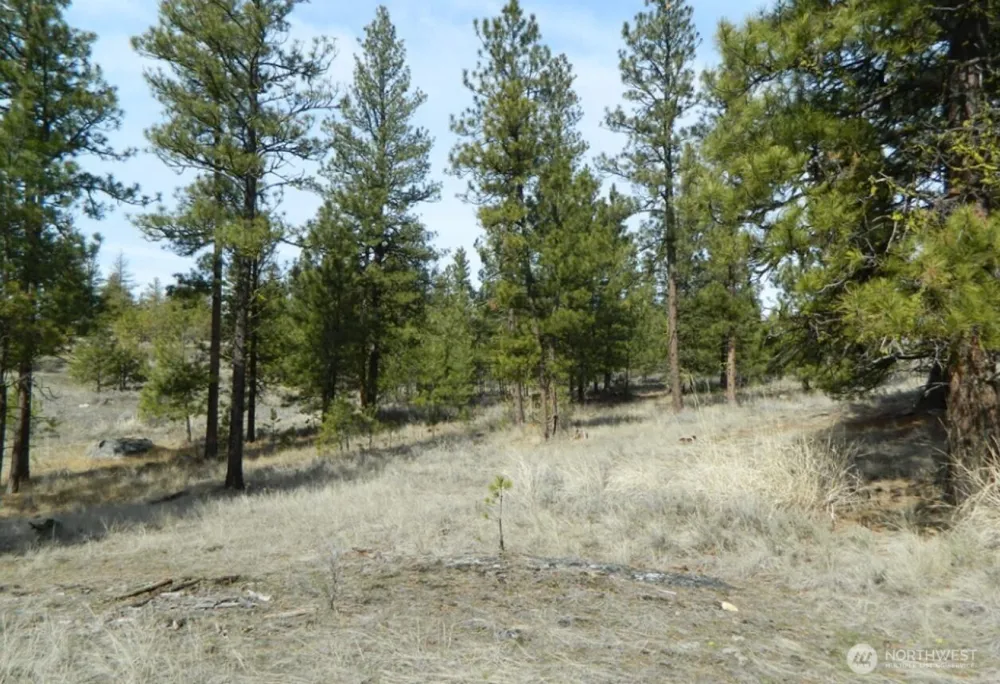 280 Reevas Basin Road Tonasket, WA 98855