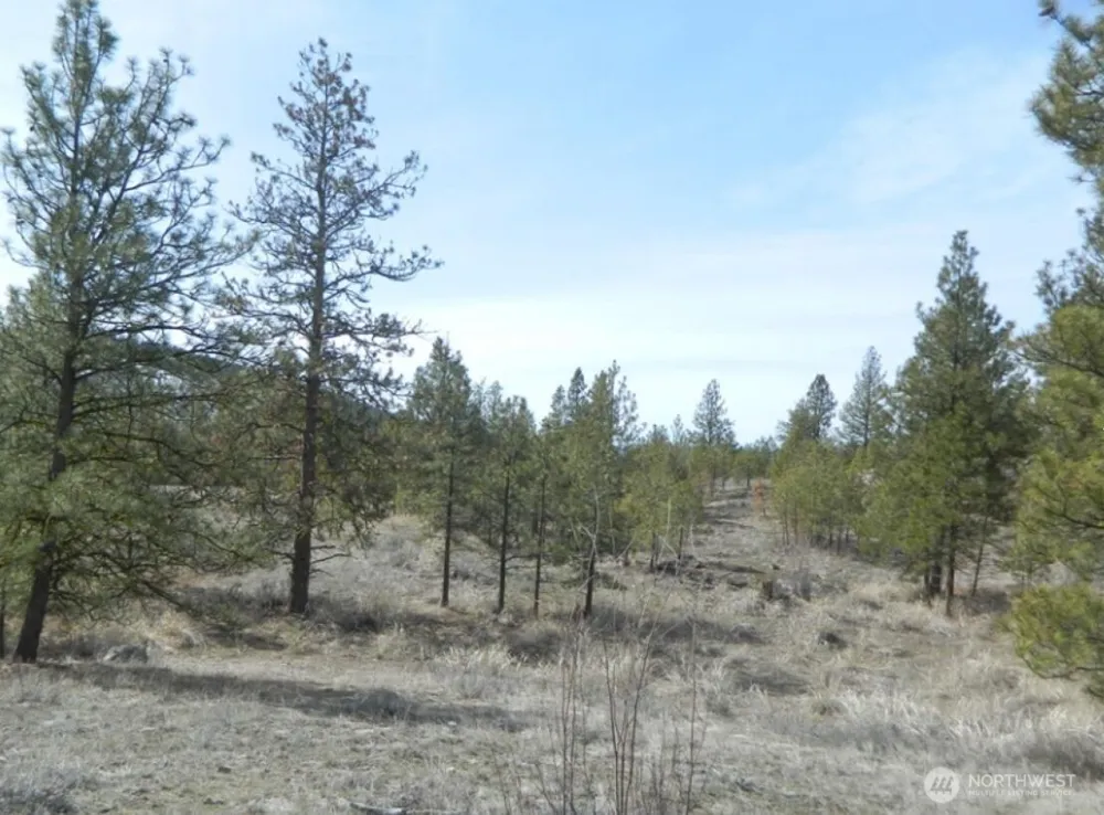 280 Reevas Basin Road Tonasket, WA 98855