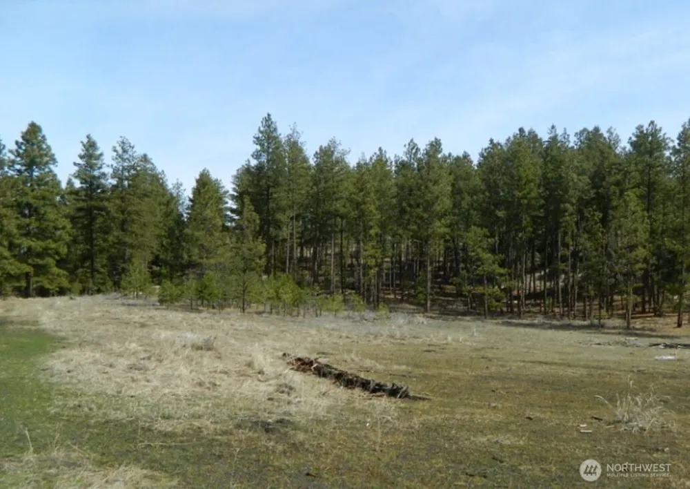 280 Reevas Basin Road Tonasket, WA 98855
