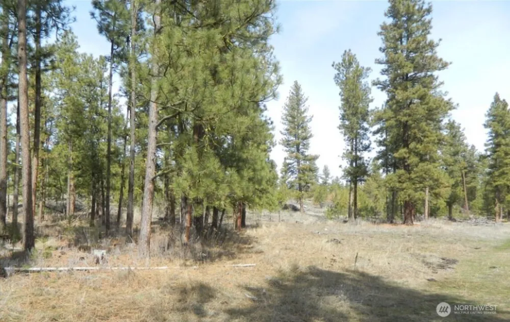 280 Reevas Basin Road Tonasket, WA 98855
