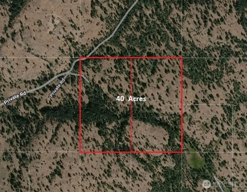 280 Reevas Basin Road Tonasket, WA 98855