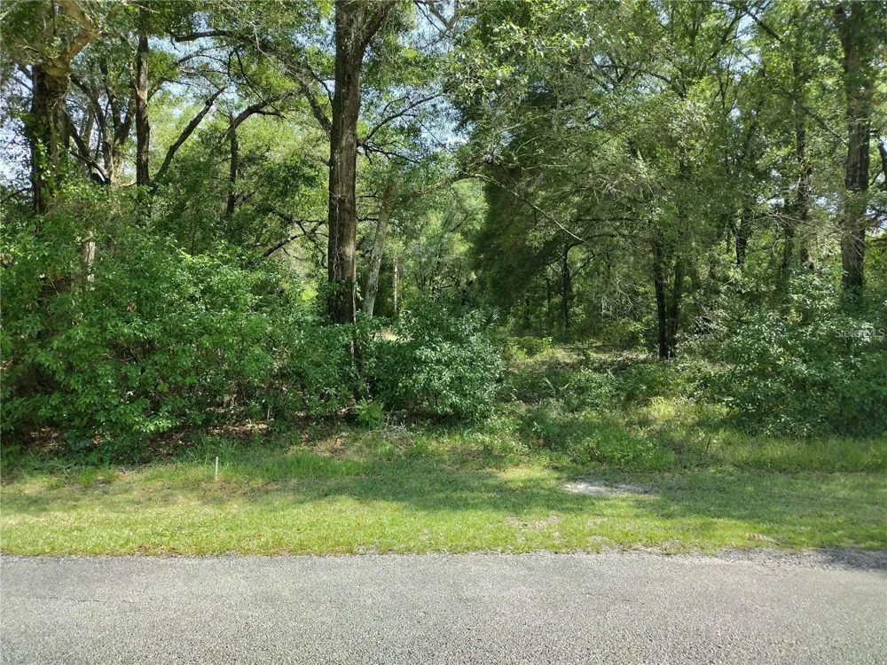 260 W VIRGINIA AVENUE Deland, FL 32720