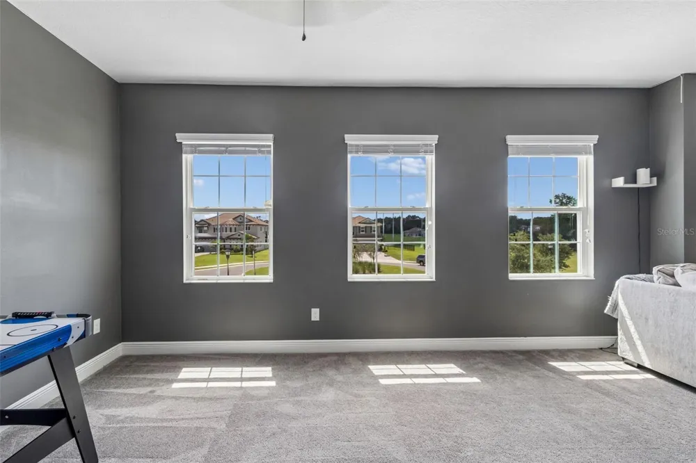 10597 MEADOWRUN DRIVE Lithia, FL 33547