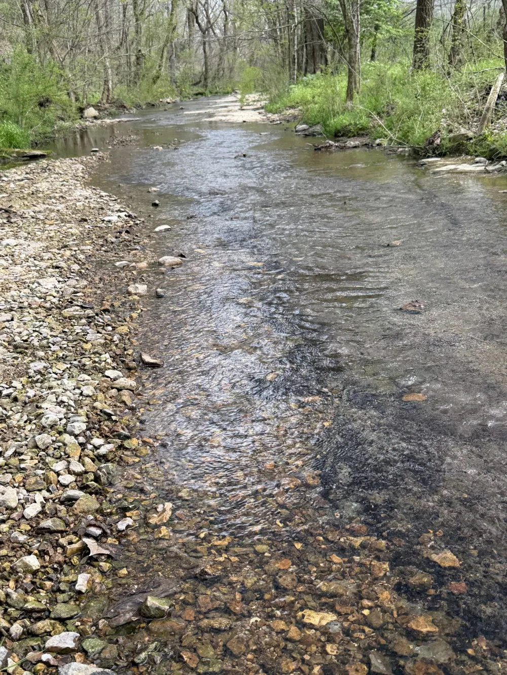 0 Opossum Paw Road Beechgrove, TN 37018