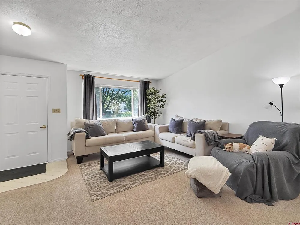 976 Yorkshire Court Delta, CO 81416