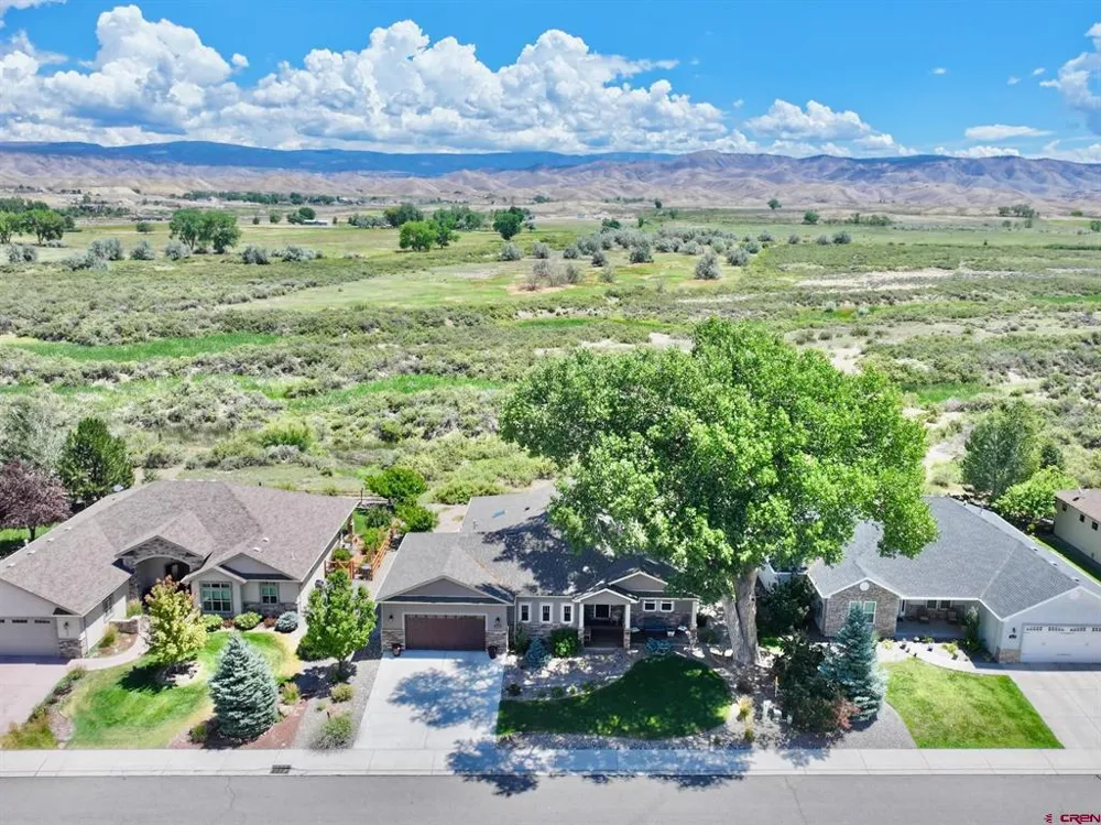 3443 Honey Locust Drive Montrose, CO 81401