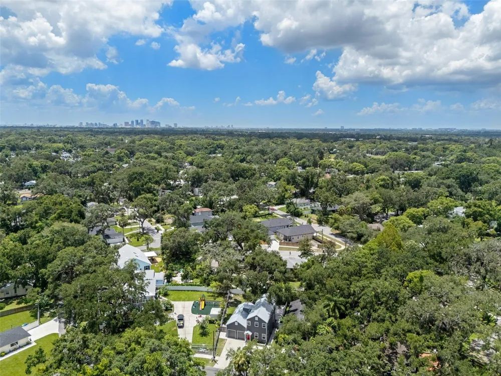 1513 E PARK CIRCLE Tampa, FL 33610