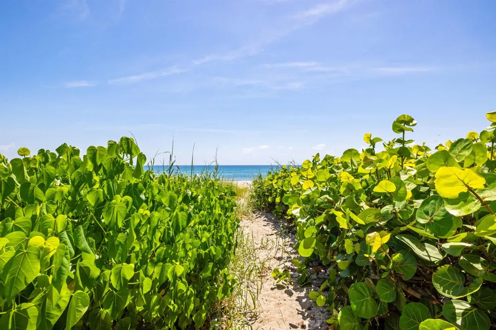 2565 S Ocean Boulevard #103N Highland Beach, FL 33487