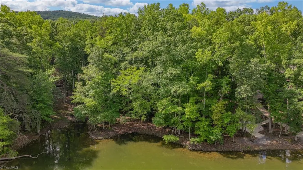 1006 Rocky Cove Lane Denton, NC 27239