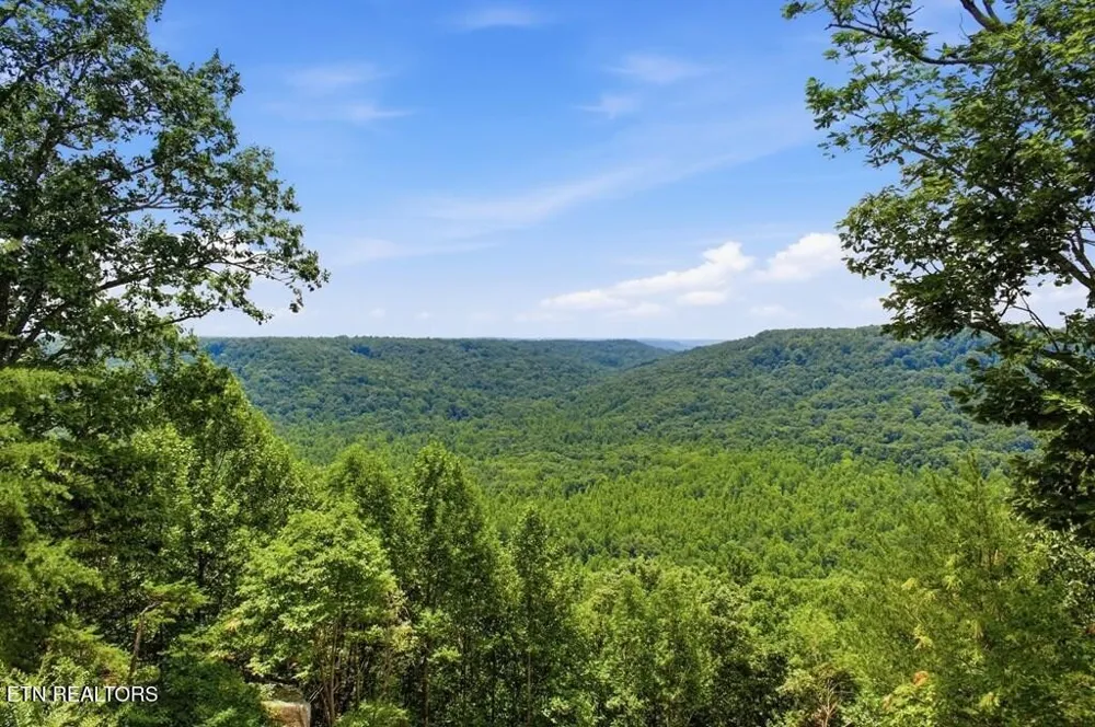 583 Cliff Park Rd Monterey, TN 38574