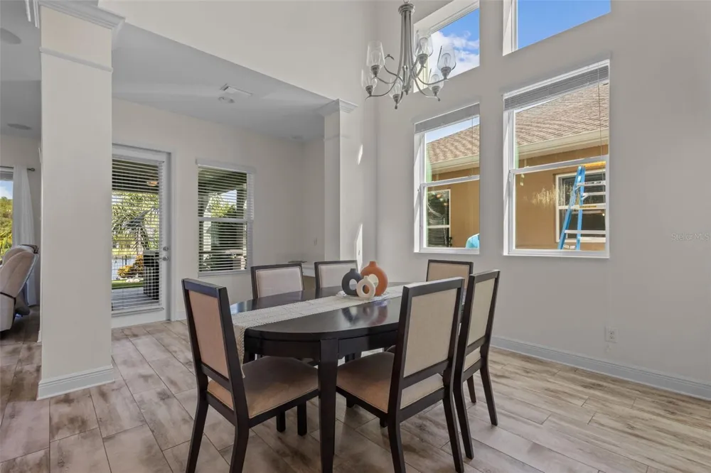 2515 PORTICO STREET Odessa, FL 33556
