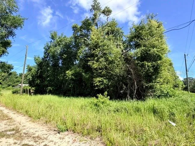 NE 249TH COURT Salt Springs, FL 32134