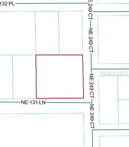 NE 249TH COURT Salt Springs, FL 32134